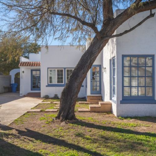 Our trusted tree to offer shade