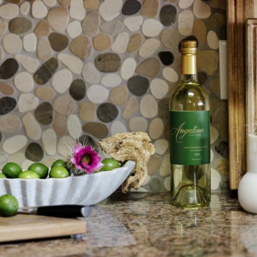 The desert's most stunning surprise: brilliant magenta petals that crown the prickly pear like jewels