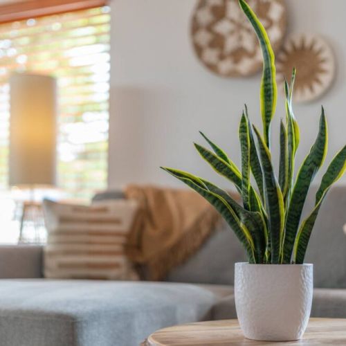 "we loved all the designer touches in this home"