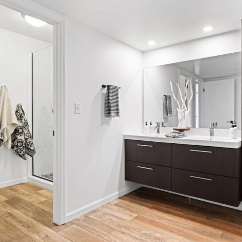 Master bathroom with walk-in shower