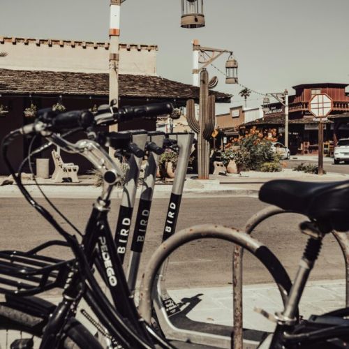 Grab a bird + explore the shops, bars and restaurants