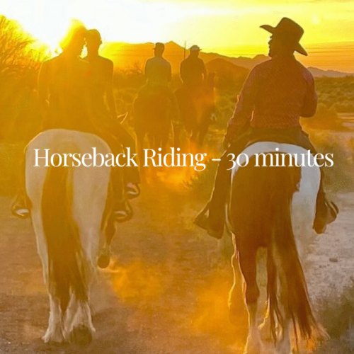 The Oasis is suitable for a day trip to the Grand Canyon, Sedona, or Saguaro National Park