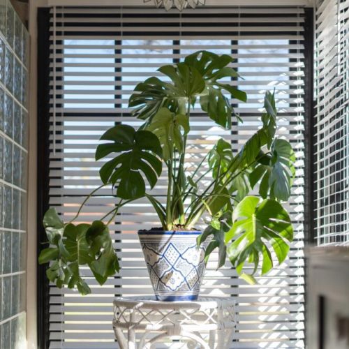 Our favorite nook
