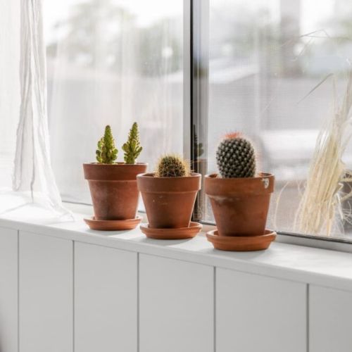 Dessert touches throughout