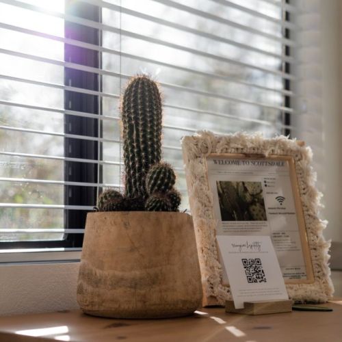 Welcome to "The Saguaro"