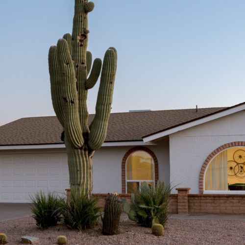 Authentic Southwest