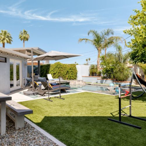 Palm tree paradise