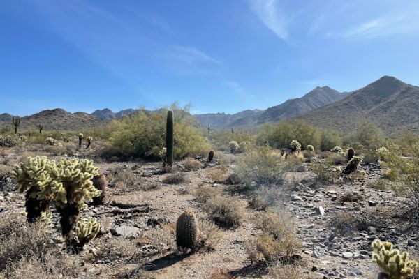 Gateway Trailhead – McDowell Sonoran Preserve