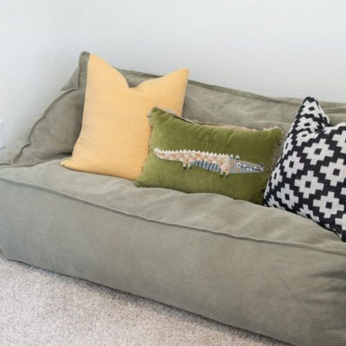 Curated for the kids