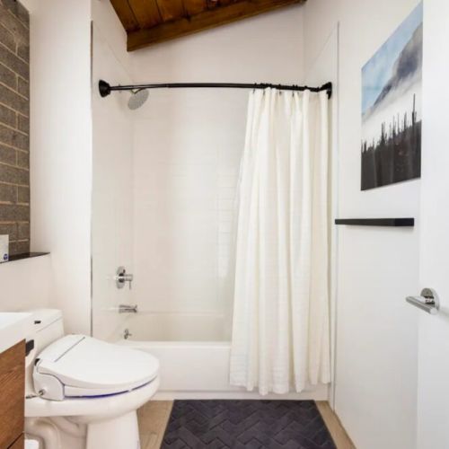 Secondary full bathroom with bidet, tub/shower combo