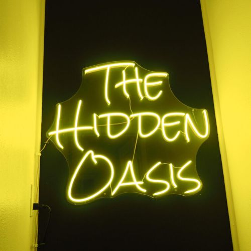 The basement or “The Hidden Oasis” is the perfect kids hang out