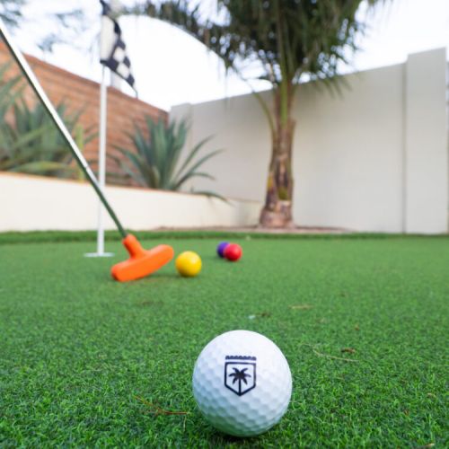 Mini golf complete with putters and golf balls
