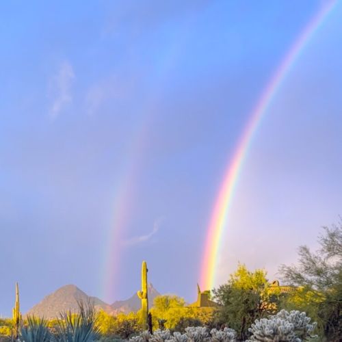 "This home exceeded all expectations and we can’t wait to return."