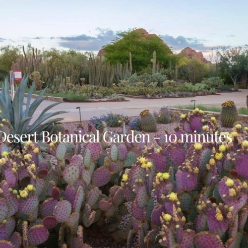 Conveniently located and a short walk away to the Desert botanical gardens